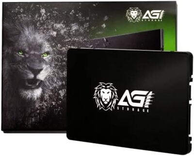 / AGI SSD Solid State Disk AI238 256Gb 2,5